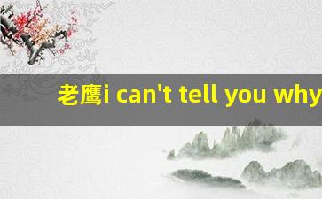 老鹰i can't tell you why